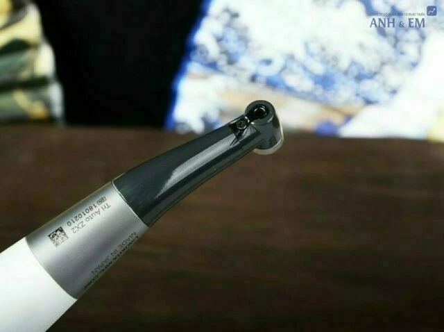 Vật liệu trám nội nha sinh học