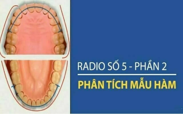 phân tich mẫu hàm