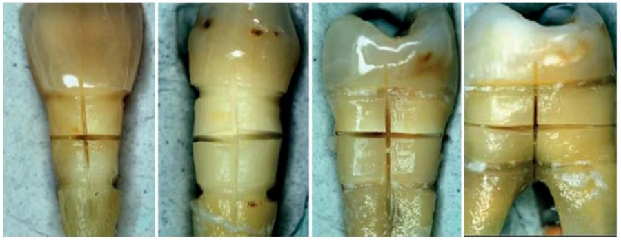 Nghiên cứu Lasotronix: profile công ty