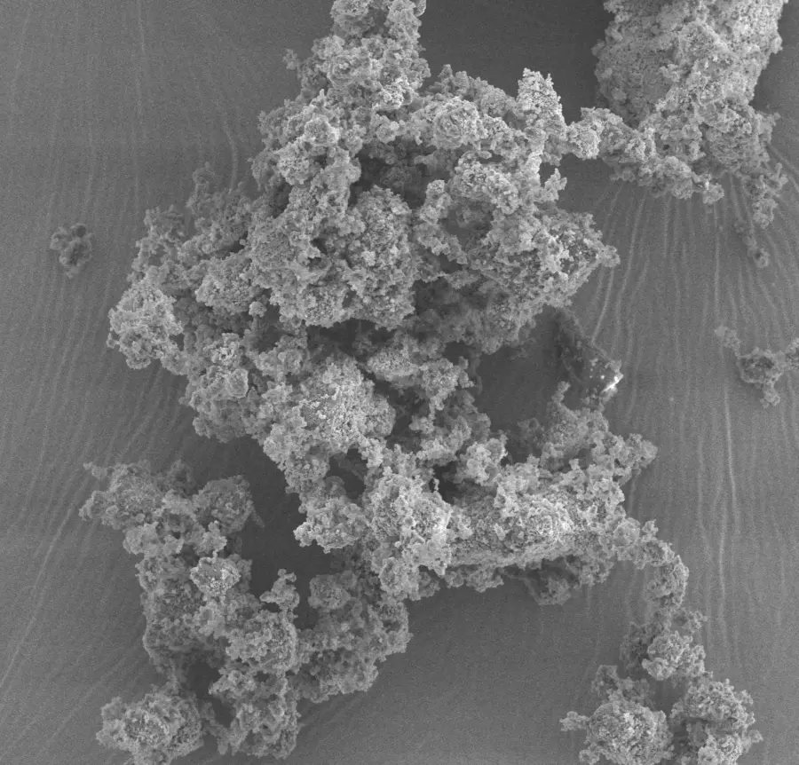 Thủy tinh sinh học và ứng dụng trong lĩnh vực y tế