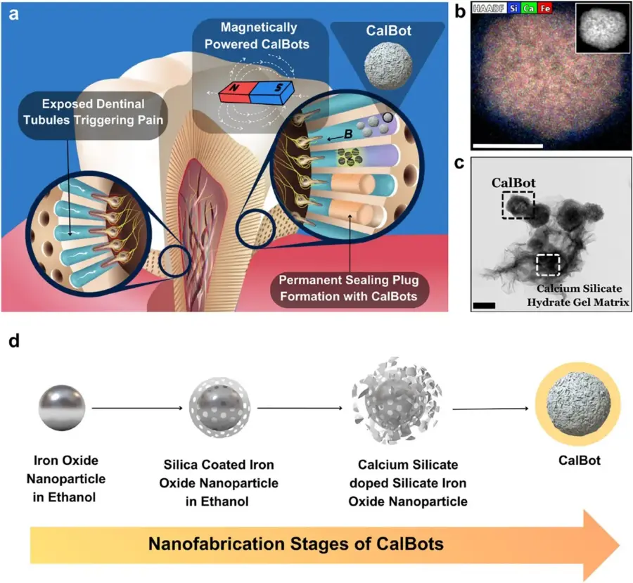 nguyên lý hoạt động bít kín ống ngà