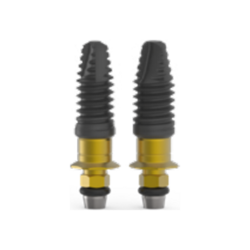 Implant BTI externa flared head – trụ implant kết nối ngoài đầu loe tissue level