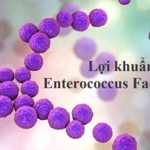 Enterococcus Faecalis & Sự Kháng Thuốc: Kẻ Thù Số Một TrongNội Nha Thất Bại
