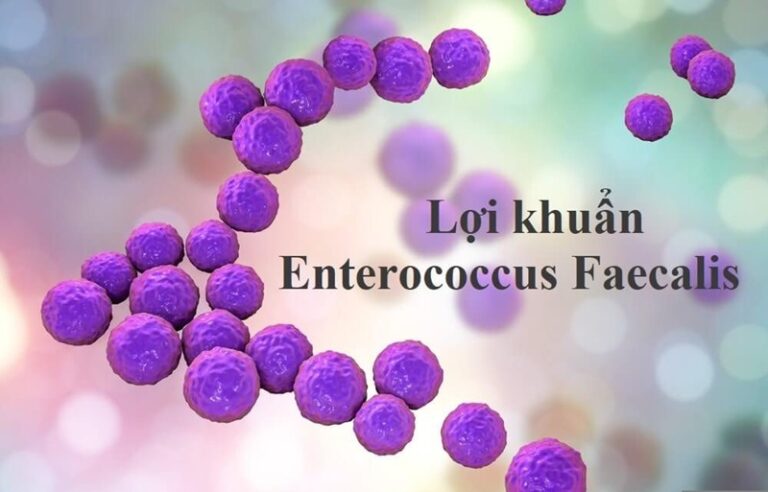 Enterococcus Faecalis & Sự Kháng Thuốc: Kẻ Thù Số Một TrongNội Nha Thất Bại