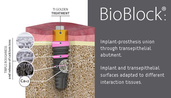 Giải pháp BioBlock và cấu trúc độ nhám ba cấp độ Triple Roughness của BTI