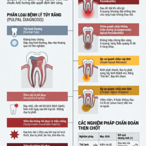 Chẩn đoán bệnh lý tủy và quanh chóp