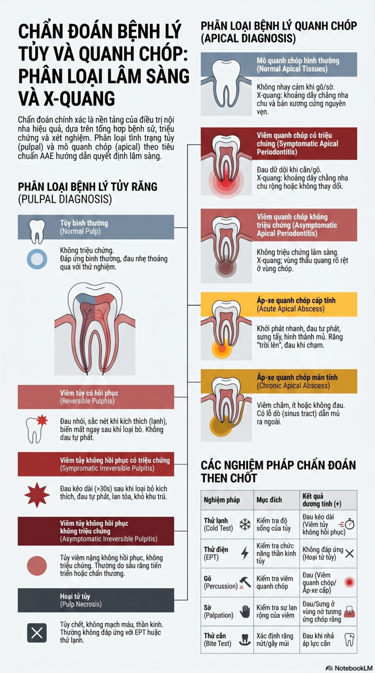 Chẩn đoán bệnh lý tủy và quanh chóp